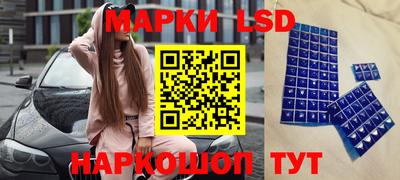 spice Краснодар