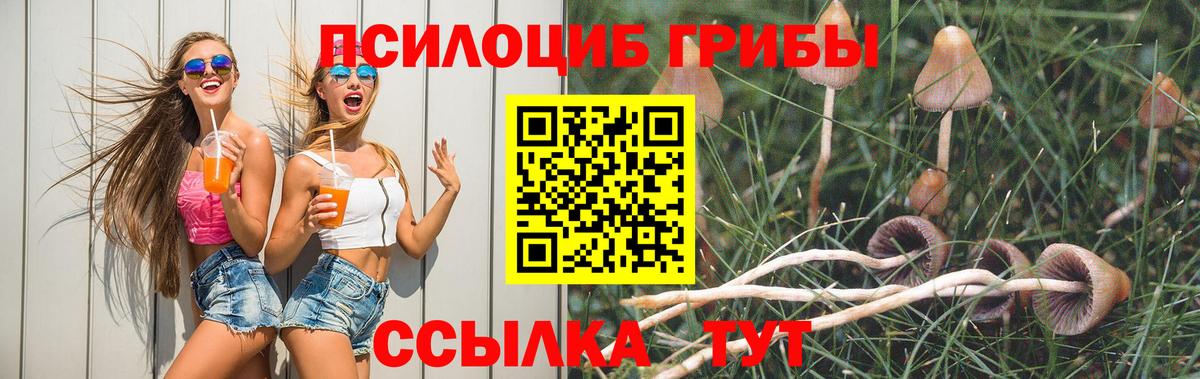 Галлюциногенные грибы ЛСД  Псилоцибиновые грибы Psilocybine cubensis  Вход с VPN  Железноводск 